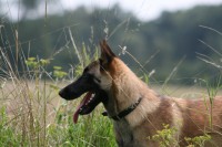 /album/fotogalerie-axis-nieder-bohemia1/ax-7-m-jpg/